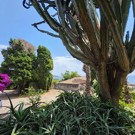 Casa Sulla Di Santa Tecla 別荘 *
